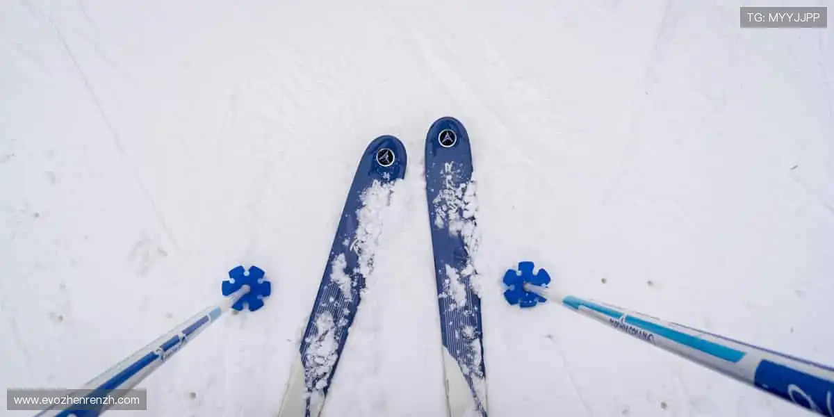 真人游戏全能平台：高清音效沉浸体验，让每一局都像在现场